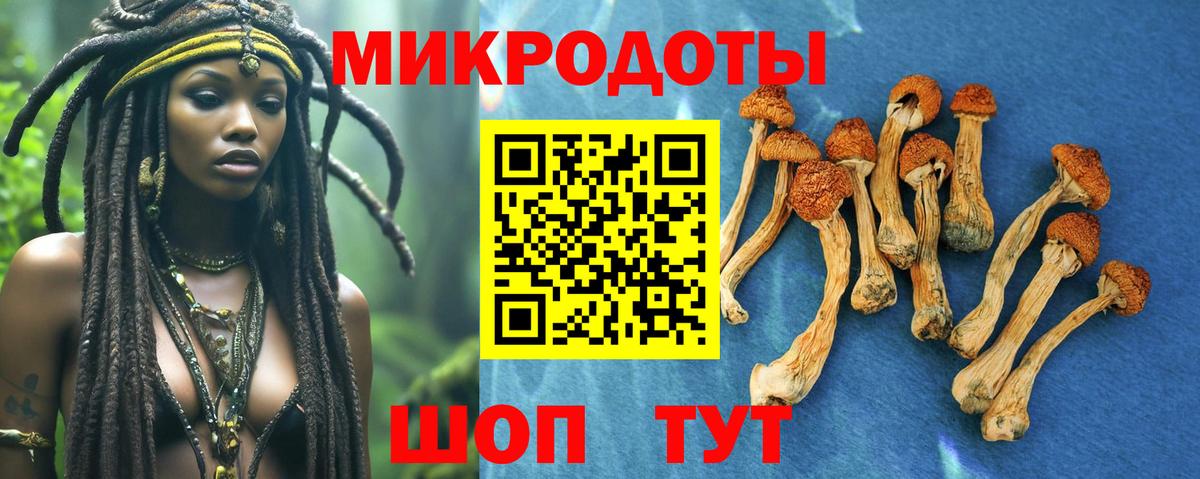 Псилоцибиновые грибы Magic Shrooms Майкоп